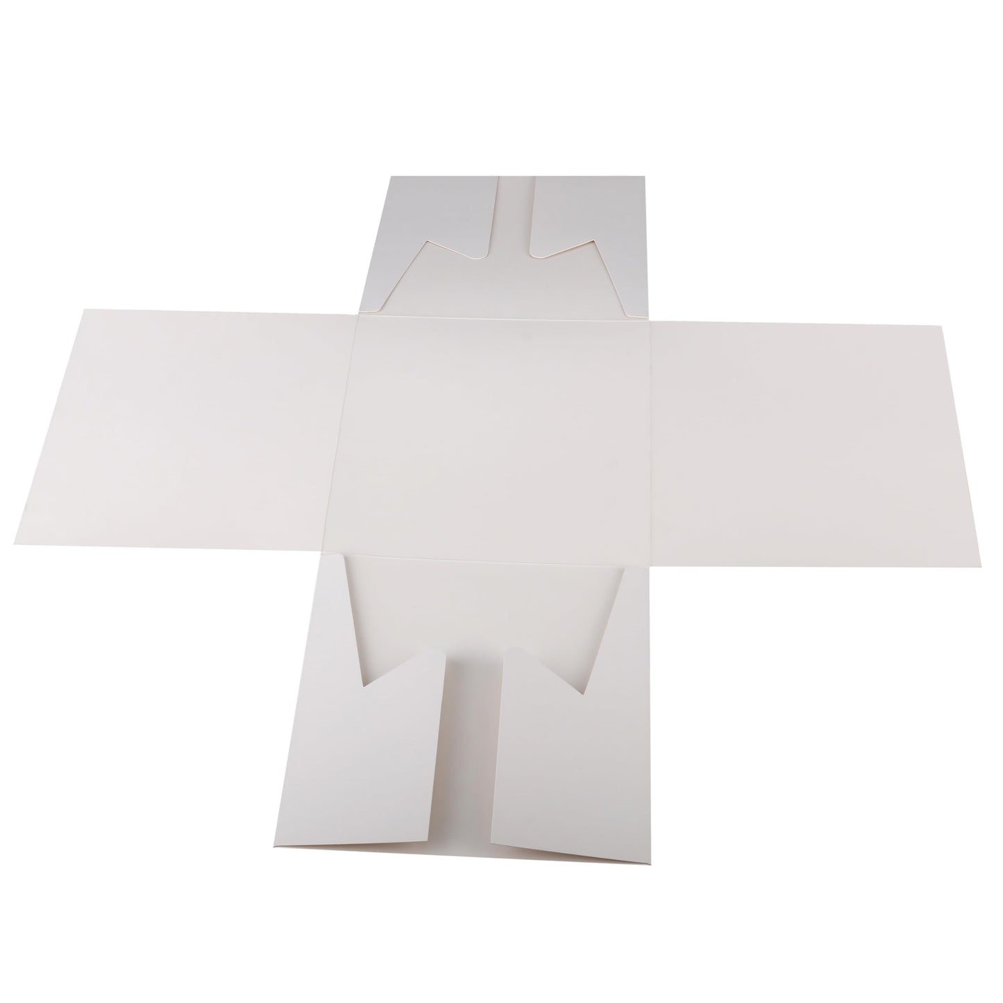 Cakebon Cake Boxes - 8x8x8 Inch 24-Pack Cajas Para Pasteles - Cake Box With Window for Birthdays, Weddings and Parties