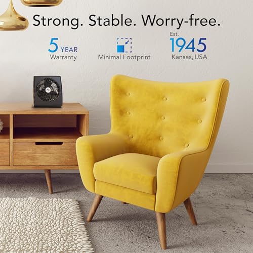 Vornado 573T Small Room Air Circulator Fan with Pivoting Head - Whole Room Version