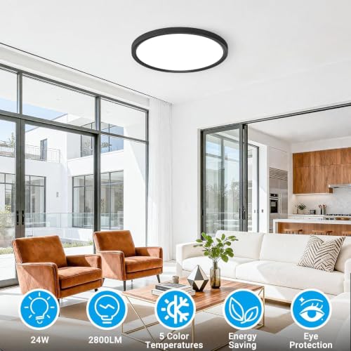Black 12-Inch LED Flush Mount Ceiling Light 5 Color Temperatures - 2 Pack