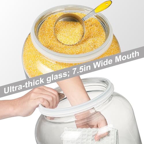 Daitouge 5.5 Gallon Large Glass Storage Jar with Lid, 21000ml, 1 Pack