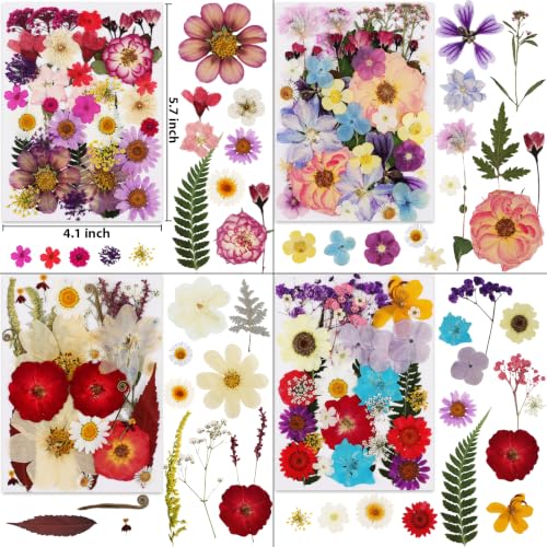 420 Pcs Dried Pressed Flowers for Resin Crafts - Assorted Natural Flowers Set - Variation of THIS listing