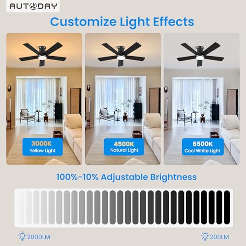 42 Inch Low Profile Ceiling Fan with Lights and Dual Remotes - Black & Dark Brown