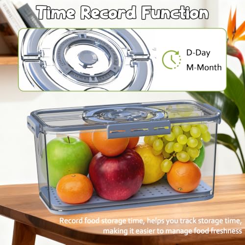 Honbuty Grey 2PCS Bread Storage Boxes with Lid, Handle & Date Dial – Kitchen Food Organizer