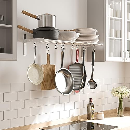 Stainless Steel Wall Mount Pot Rack with 10 Hooks for Kitchen Organization