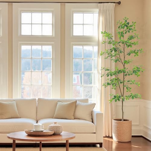 Bellacat 7ft Black Olive Faux Tree Indoor with Natural Trunk & Realistic Leaves