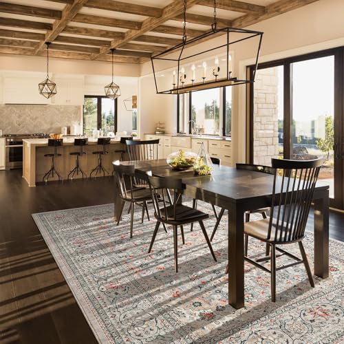 Goideal 4x6 Beige & Gray Washable Non-Slip Area Rug for Living Room Kitchen Entryway