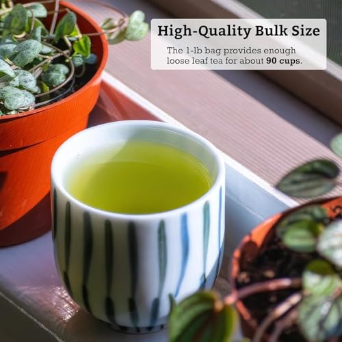 SUGIMOTO TEA Japanese Sencha Fukamushi Green Tea Loose Leaf 1 lb - Bulk Premium Sencha Green Tea / Loose Leaf