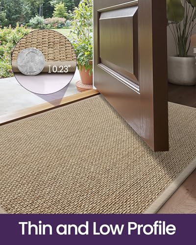 DEXI Beige Indoor Door Mat 24x36 - Ultra Thin Non Slip Entrance Rug