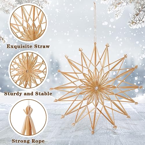 Gerrii 11 Pcs Straw Snowflake Ornaments Christmas Tree Set with LED Lights