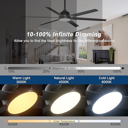 Phylluz 65 Inch Black Ceiling Fan with Lights Remote & App Control - Indoor & Covered Outdoor Patio, Dimming, 6-Speed