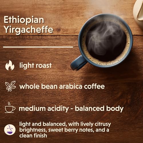 Light Ethiopian Yirgacheffe Coffee Beans 5lb Bag - Whole Beans, Bright Citrus & Floral Notes