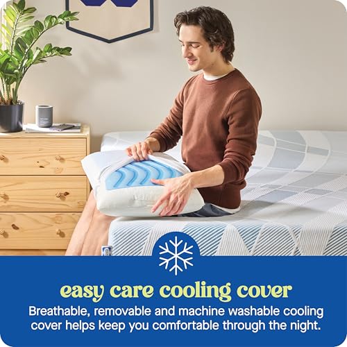 Sealy Dreamlife Standard Cooling Memory Foam Pillow with Gel Cover - Removable Washable Cover, Made in USA