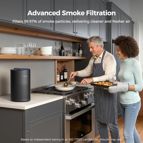 Purivortex Air Purifier for Home Black with Fragrance Sponge - 880 sq ft