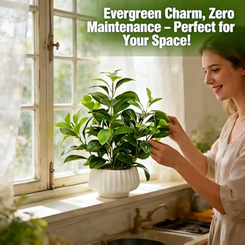 Artificial Peperomia Plants 16” Tall in White Ribbed Ceramic Planter - Plant-b by Ewtogift