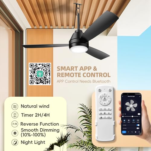 Black 42-inch Outdoor Ceiling Fan with Lights, Remote & App Control