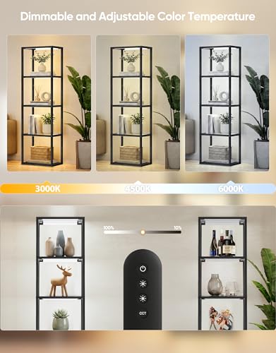 PARTPHONER Dimmable Glass Display Shelf Floor Lamp with Remote Control, 3 Color Temps, Black