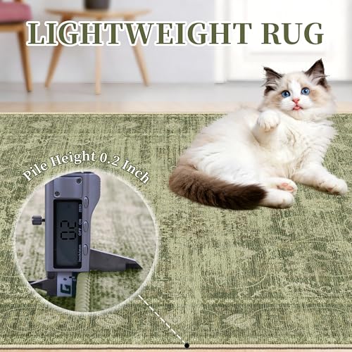 Tod Green Sage 8x10 Non Slip Area Rug for Living Room & Bedroom - Neutral Home Decor