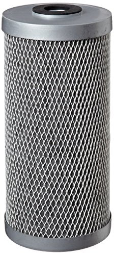 Pentair Pentek FloPlus-10BB 10-Inch Carbon Block Water Filter Cartridge - Pack of 1
