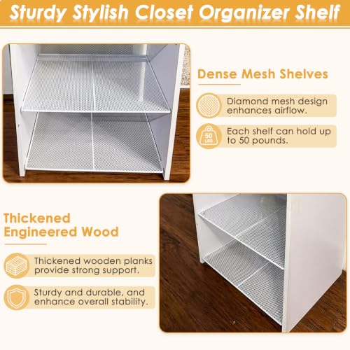 Hencawima 2-Tier Stackable Closet Organizer Baskets, Durable Iron & Wood