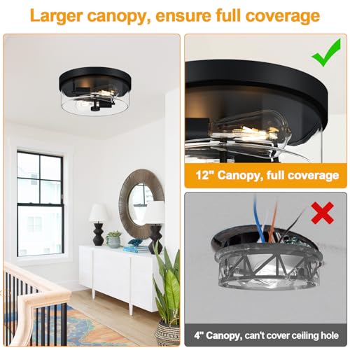 Matte Black 2-Light Farmhouse Flush Mount Ceiling Light with Clear Glass Shade