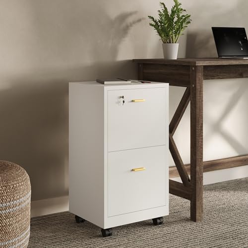 White Wooden File Cabinet with Lock & 2 Drawers - 16x27 Inch, Gold Hardware Variation