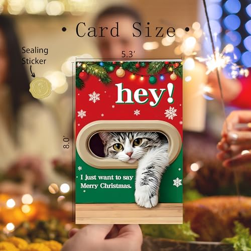 FSSDAS 10045 Funny Cat Christmas Card for Man Woman - Holiday Greeting Card