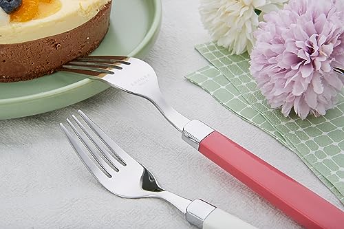 Annova 20-Piece Colorful Stainless Steel Flatware Set for 4 - Mix