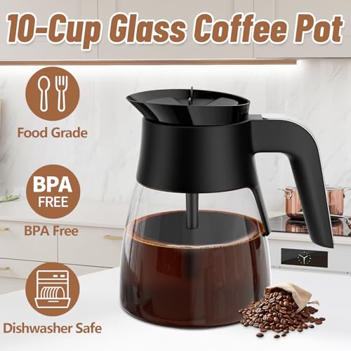 10-Cup Glass Coffee Carafe Replacement for Ninja Coffee Maker CM401 CM371 CP301 - BPA-Free with Brew-Through Lid & Handle