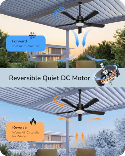 42-Inch Outdoor Waterproof Ceiling Fan with Light - Black, Remote Control