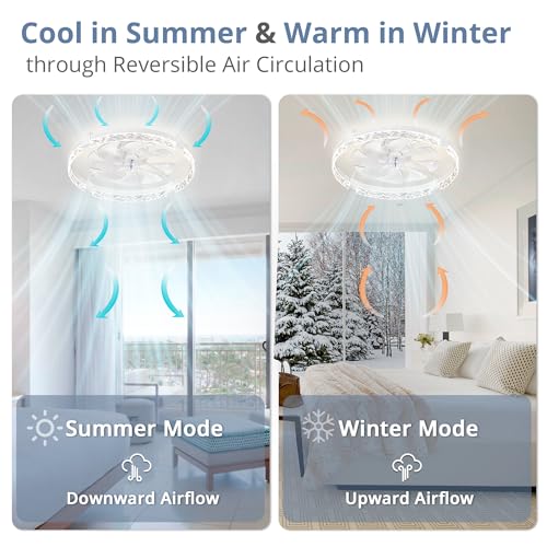 LEDIARY 24-Inch White Ceiling Fan with Lights and Remote - Fandelier, Adjustable Brightness & Colors
