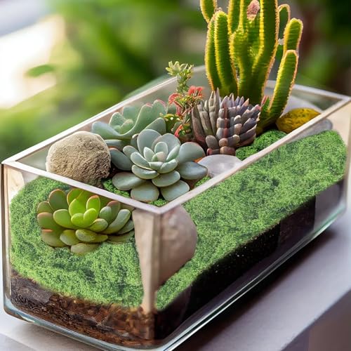 Artificial Green Moss for Christmas Potted Plants 5.3OZ for Crafts Preserved Fake Moss for DIY Decorative Table Centerpieces Fairy Garden Decor