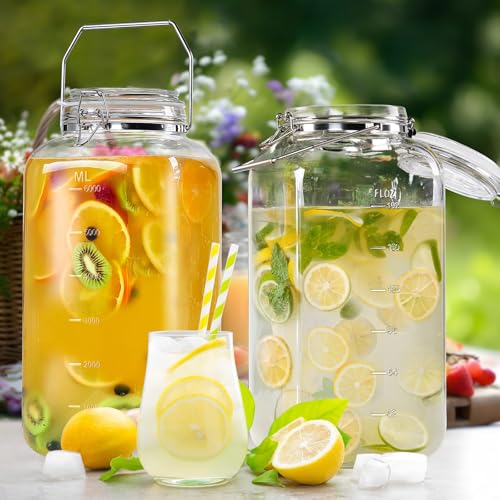 2 Gallon Glass Storage Jar with Airtight Lid & Stainless Steel Handle - Large Wide Mouth Container