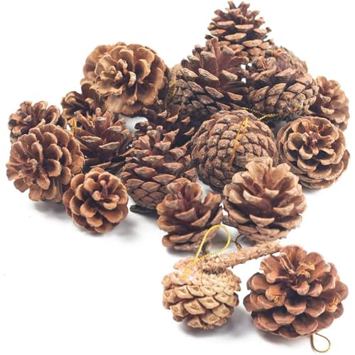 JOHOUSE 18 PCS Hanging Natural Pine Cones, Rustic Pinecones Crafts with String Fall Garland Decor Christmas Tree Ornaments Winter Vase Filler