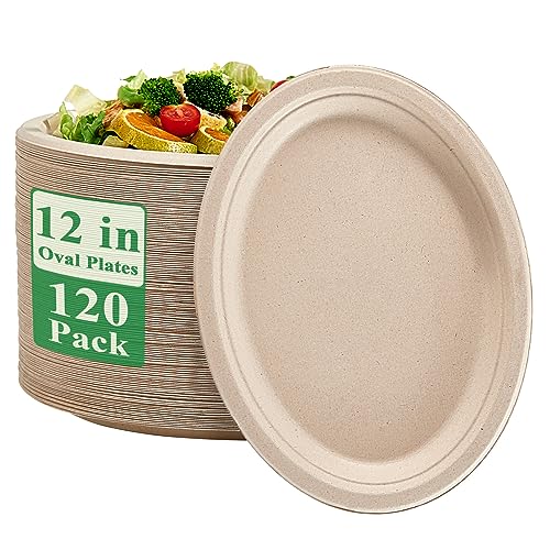 Vplus 12-Inch Compostable Oval Paper Plates - 120 Pack, Nature Variation