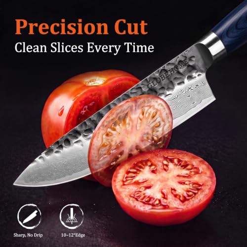 8-Inch Japanese Damascus Chef Knife - High Carbon Stainless Steel, 67 Layers