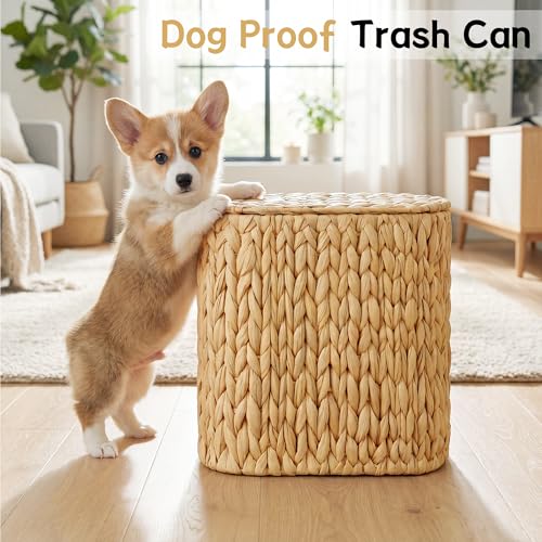 Brown Wicker Trash Can with Lid - Narrow Water Hyacinth Waste Basket for Bathroom, Bedroom, Office, Small Spaces
