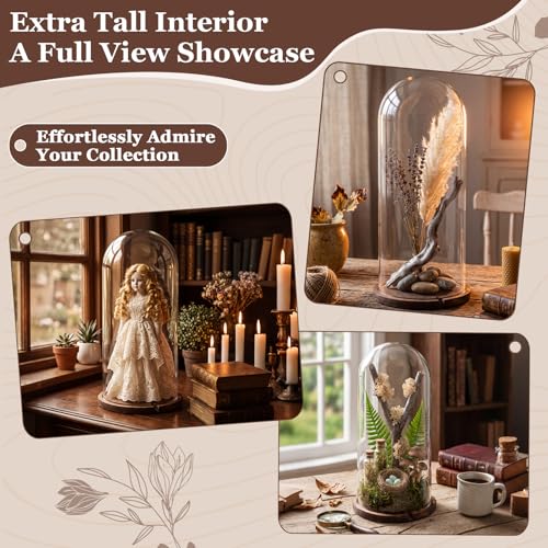 22'' x 8.66'' Glass Dome Cloche Display with Dark Wood Base – Tall Clear Cover for Decor & Collection