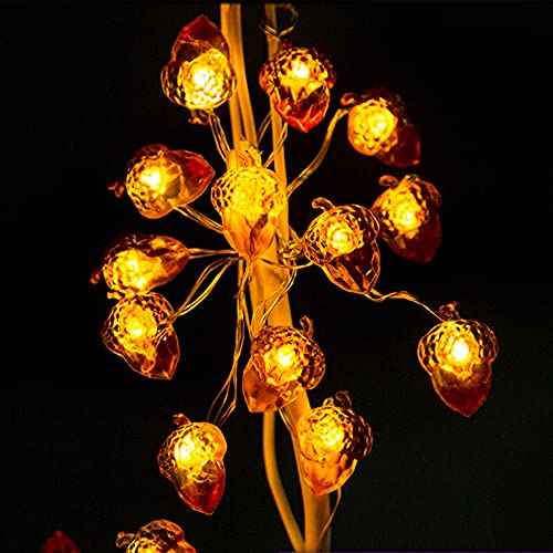 BOHON Thanksgiving Decorations Acorn Lights String 10ft 40 LEDs Fairy String Lights Battery Operated with Remote Fall Lights for Home Autumn Garland Bedroom Christmas Tree Halloween Party Decor