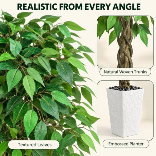 6FT Artificial Ficus Tree with White Planter - Realistic Faux Indoor Plant - Green Leaf Variation