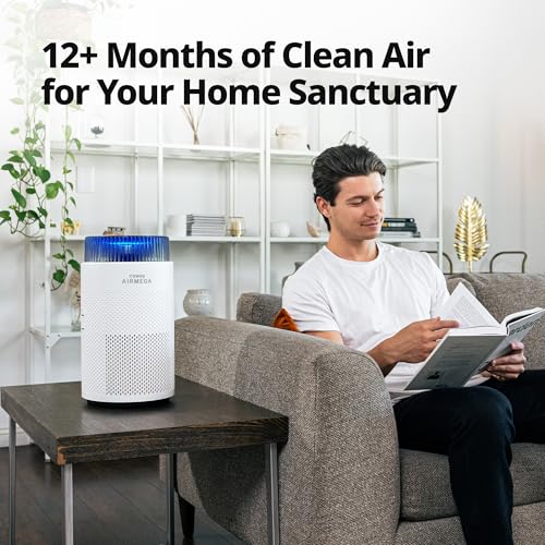 Coway Airmega 100 Replacement Filter Set 2-Pack - 3-in-1 HEPA & Deodorization