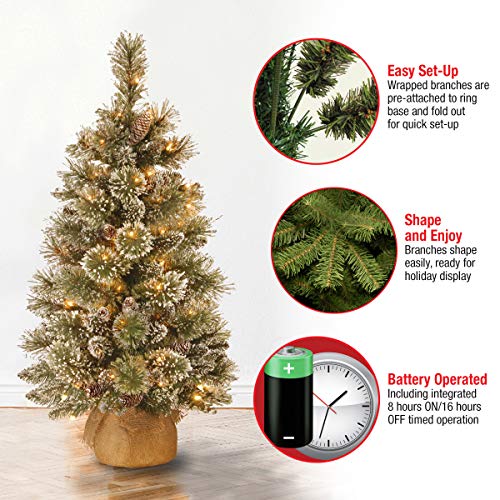 National Tree Company 3ft Pre-Lit Glittery Bristle Mini Christmas Tree