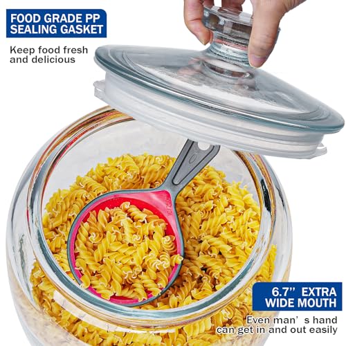 Large 2.5 Gallon Glass Storage Jar with Wide Mouth and Lid - Food & Kitchen