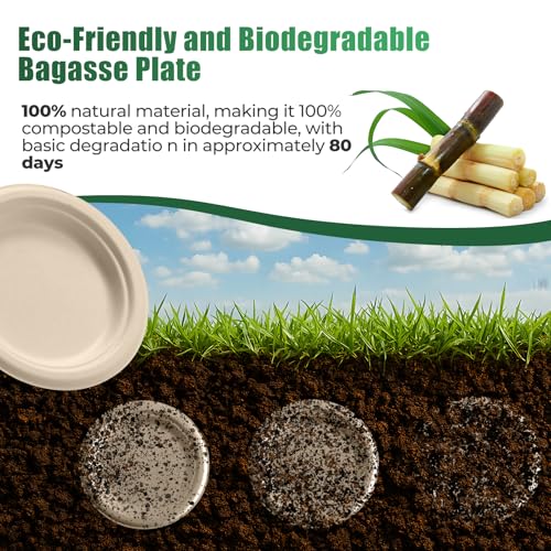 Brown 250-Piece Biodegradable Paper Plate and Utensil Set – Eco-Friendly Disposable Dinnerware for Parties and Camping