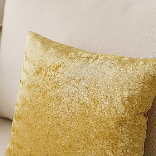 NiNi ALL Gold Velvet 22x22 Pillow Covers (Pack of 2) Decorative Cushions for Couch