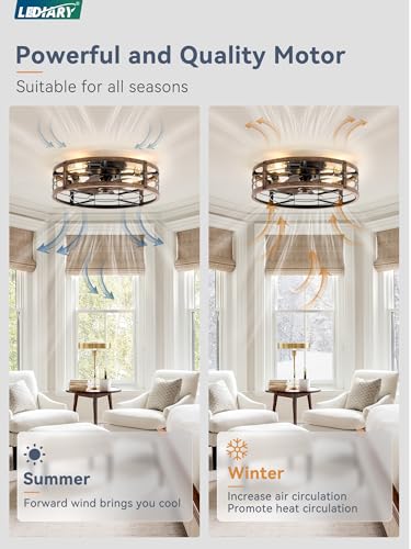 20-Inch Caged Low Profile Ceiling Fan with Light & Remote - Black & Gold