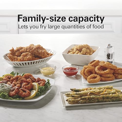 Hamilton Beach Family-Size 3L Electric Deep Fryer with Basket, Stainless Steel