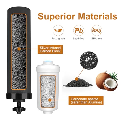 Water Filter Replacement for Berkey Gravity System - 2 Black Carbon & 2 Fluoride Filters