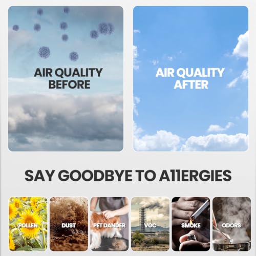 HEPA Filter B Replacement Set for Guardian & Air Purifiers - 4 Pack + 8 Pre-Filters