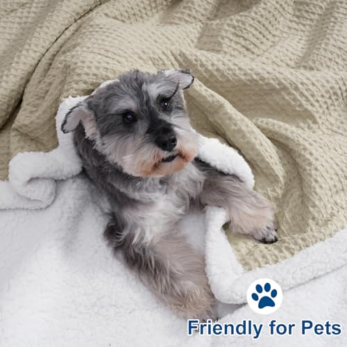 PHF Waffle Sherpa Blanket Queen Size, 90x90 Inches Luxury Plush Flannel Fleece Blanket for Winter, No Shed No Pilling, Cozy Soft & Reversible Waffle Weave Bedding for Home Decor, Khaki