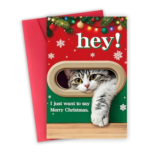 FSSDAS 10045 Funny Cat Christmas Card for Man Woman - Holiday Greeting Card